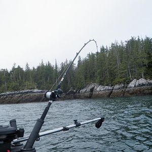 Fishing BC Coast 2010