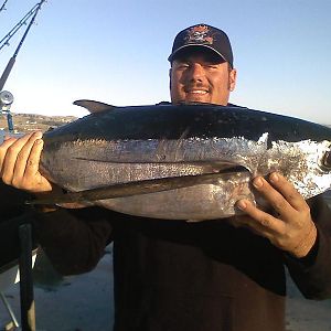 Nov tuna