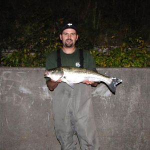 Canal trip 09'. 28" bass at 2am on a 4oz white bucktail with red/white pork rind bottom bouncing. Sadly the largest bass of the trip. Slow fishing is