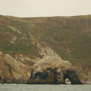 Elephant Rock - Bodega Bay