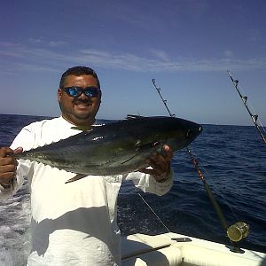 2 5 11 tuna cabo