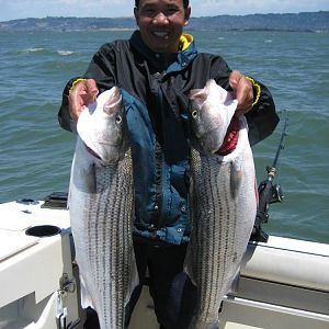 2008 Mels Reef Stripers