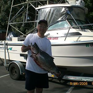 2006 Santa Cruz Salmon