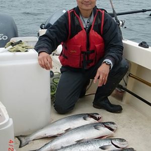 Halfmoon Bay Salmon Limits  April 2013