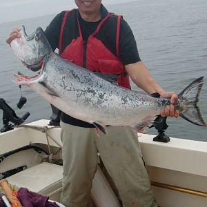 25 Lb'er HMB Salmon May 2013