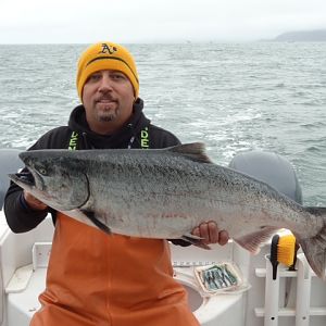 2013 Salmon