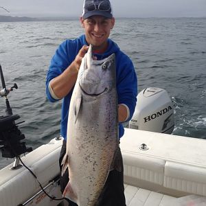 27lber off of Elephant