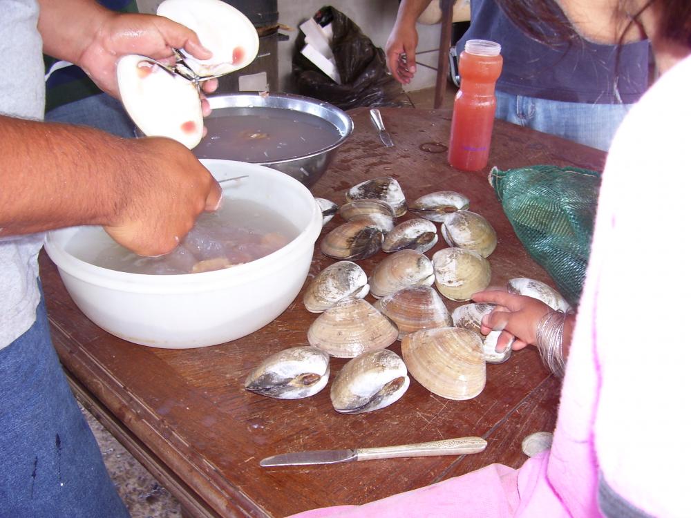 100 1416  San Quintin clams.