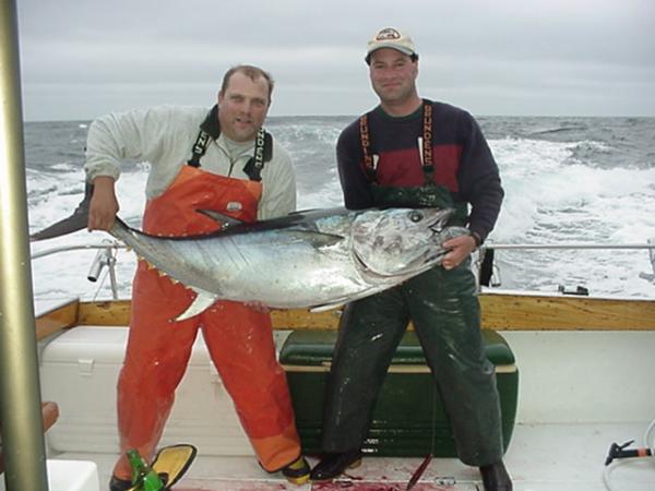 125# N. Cal. bluefin tuna caught on Fishing Luhrs