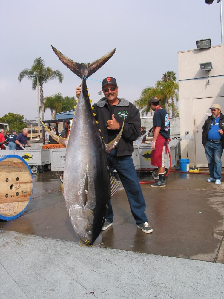 187 LB Tuna