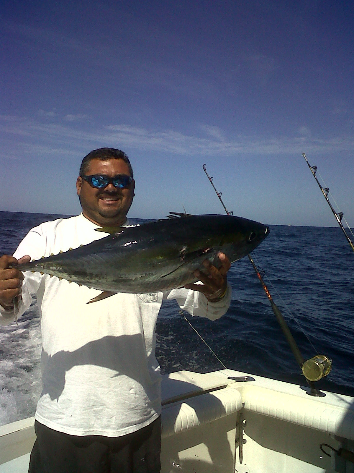 2 5 11 tuna cabo