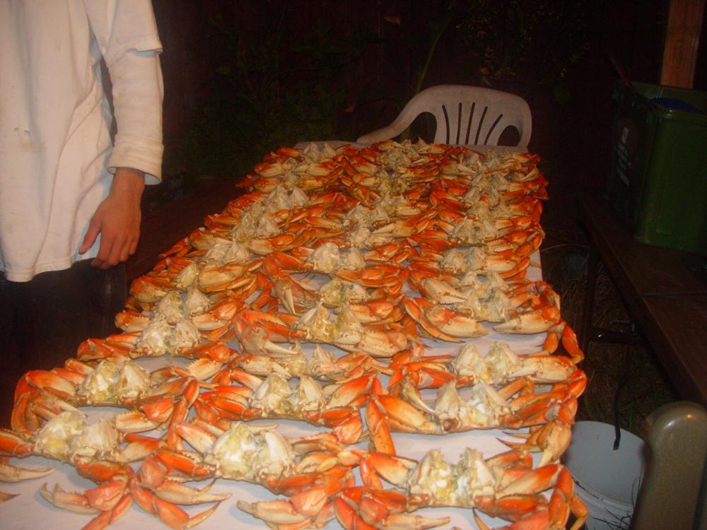 50 dungenous crab ready to eat