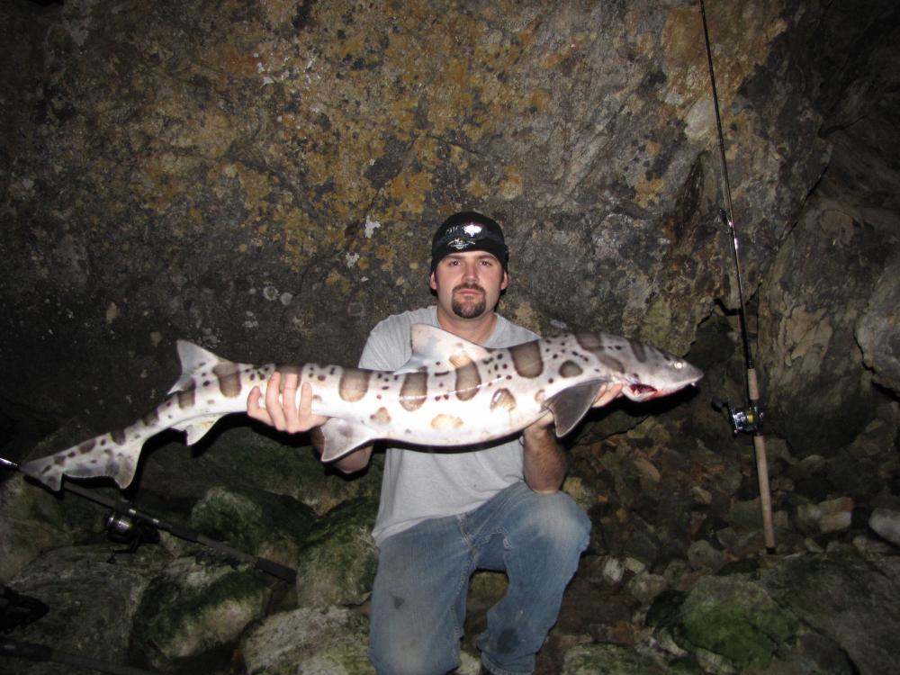 58" at China camp. Midshipman. We caught a dozen that night all over 48". $90 parking ticket for staying after dark. Totally worth it!