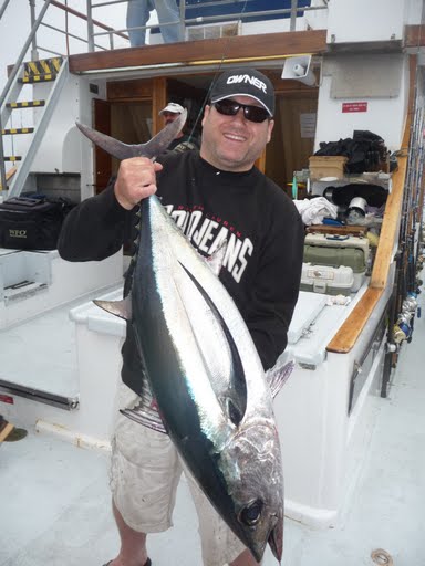 Albacore Action