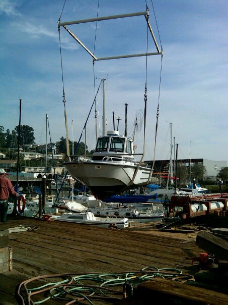 boat 2010 #2