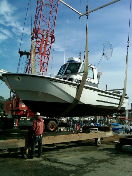 boat 2010