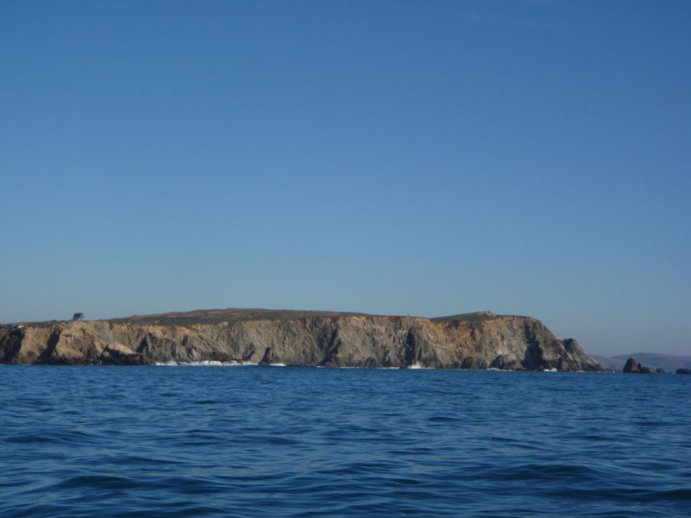 Bodega Head