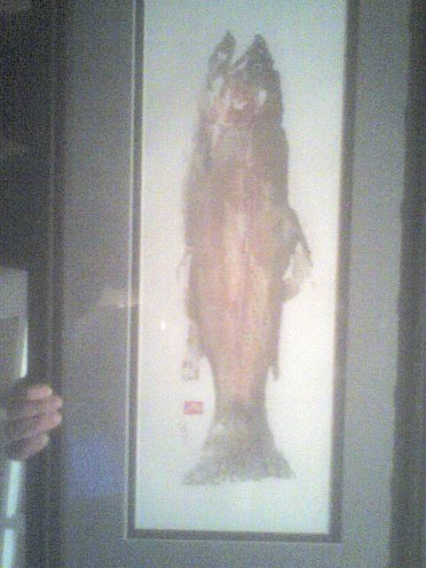 b's trout print