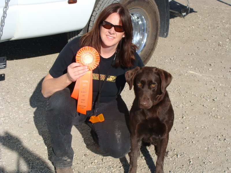 Cabo's AKC Junior Hunter title, November 2009 in Lost Hills, CA