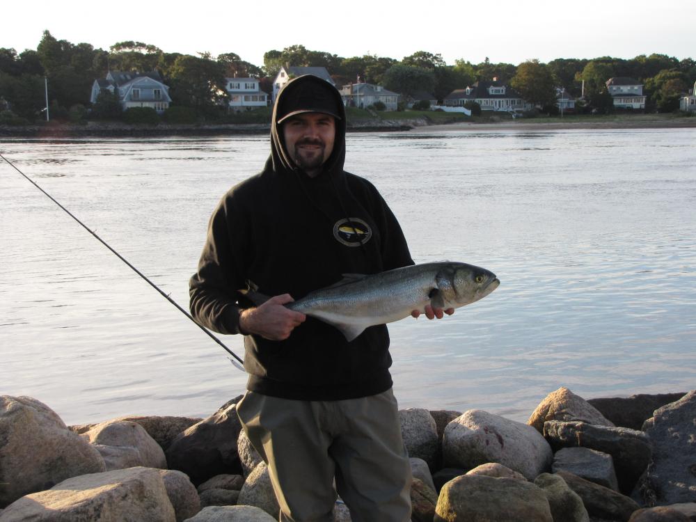 Canal bluefish. 3oz white crippled herring. Fought like a 20lb bass.