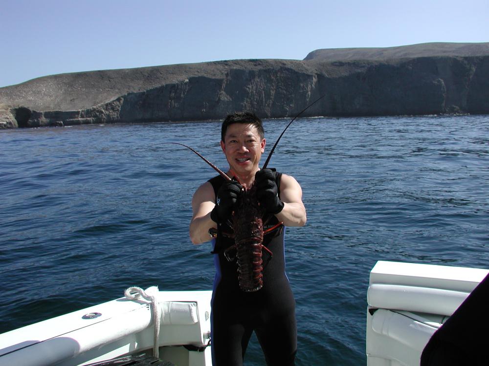 Channel island- lobster