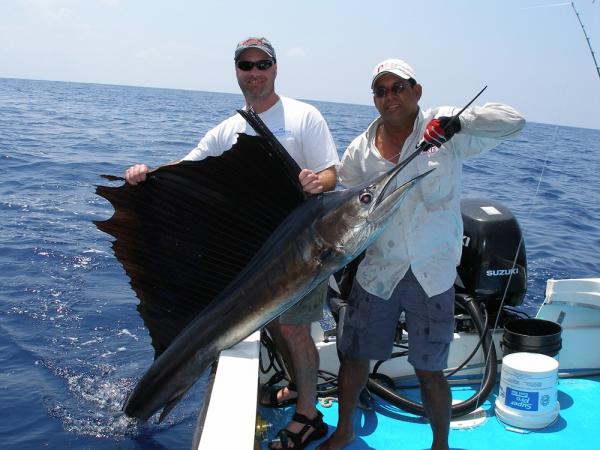 Costa Rica sailfish