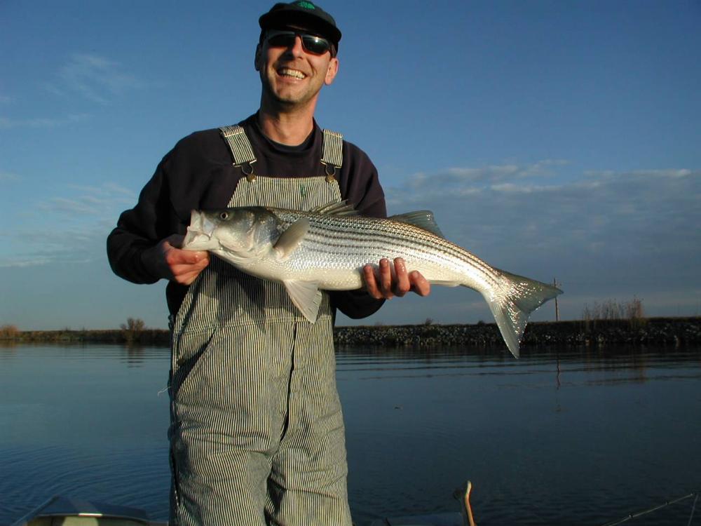 Delta Striper 1