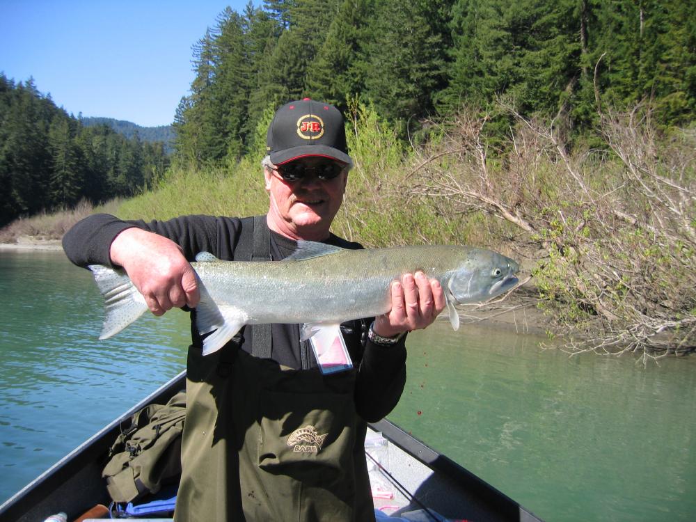 Eel steelhead