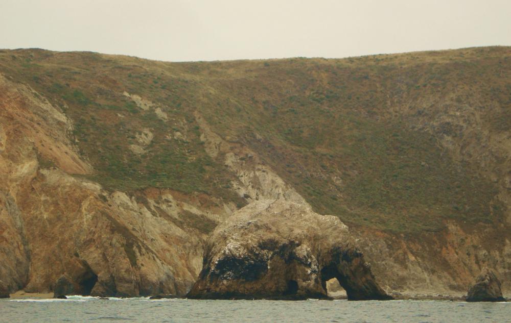 Elephant Rock - Bodega Bay