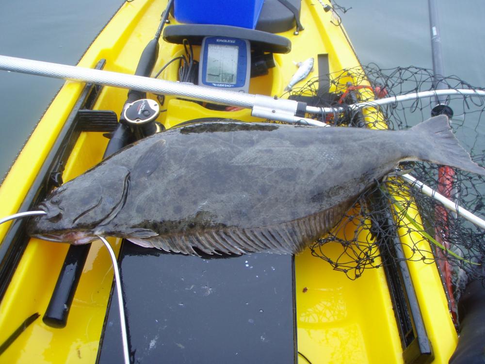 First halibut