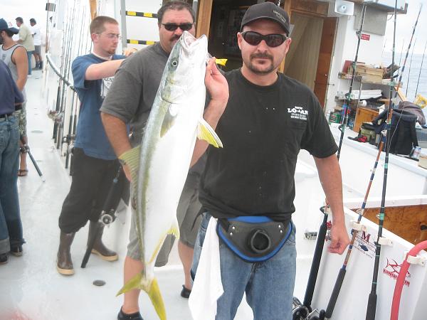 Great Yellowtail Action