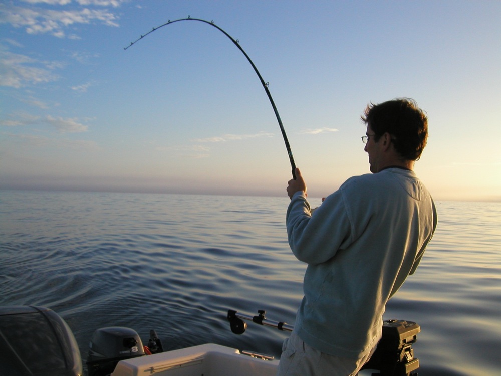 I love this pic of an early morning battle at Soldier's Club out of Moss Landing