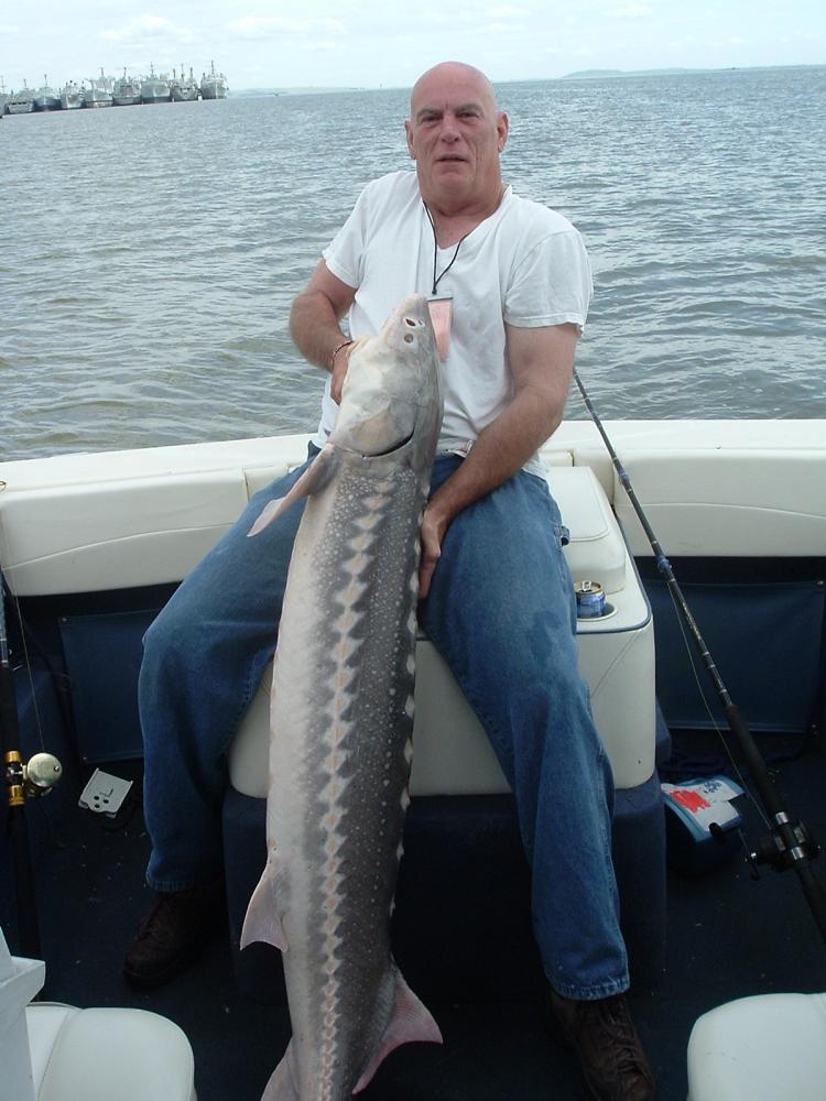 Joe Hawkins with one before released. (Joe's the 1st & 2nd IGFA 6 lb Sturgeon record holder. I was fortunate, both caught on my boat...