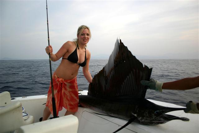 Kelly's sailfish, Zihuatanejo