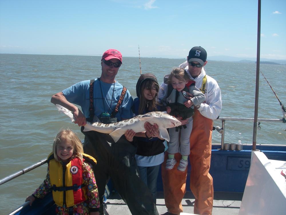 Leopard Shark on the kids trip