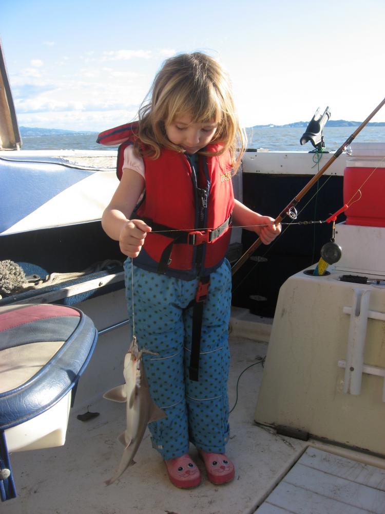 Little Fishergirl