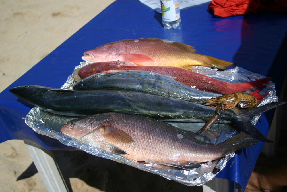 Lunch selection, Zihuatanejo