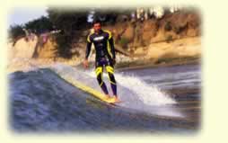 michel surfing santacruze 4