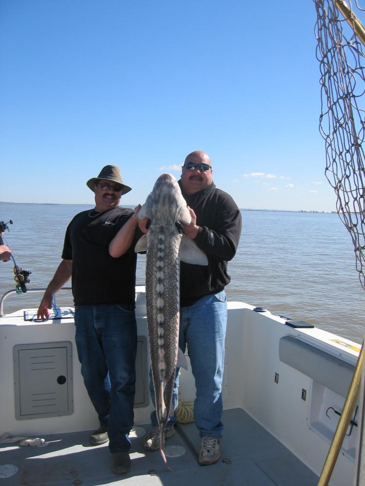 Mike's Sturgeon