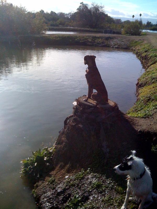 Moorea & Angel at the Perk Ponds