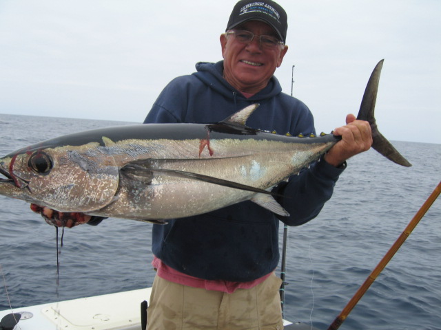 Nice longfin!