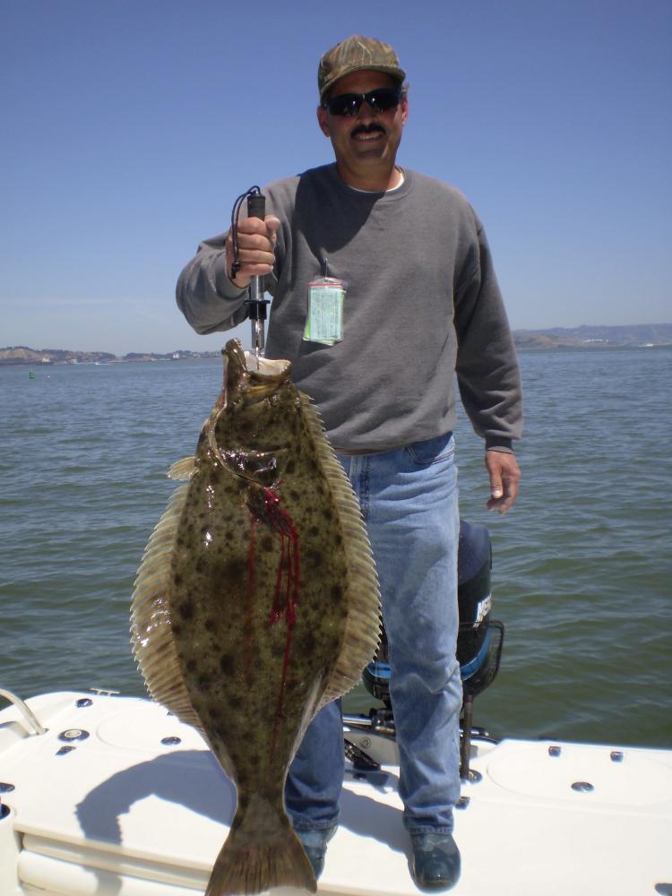 S.F. Bay Robert