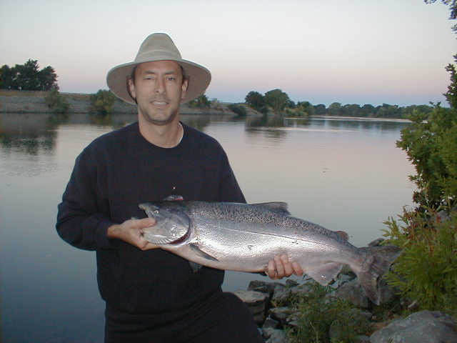 Sacramento River Salmon 1