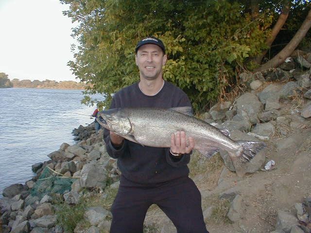 Sacramento River Salmon 2