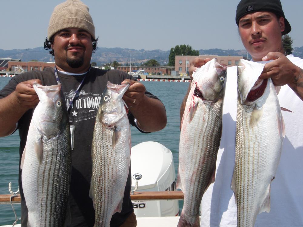 striper 2009