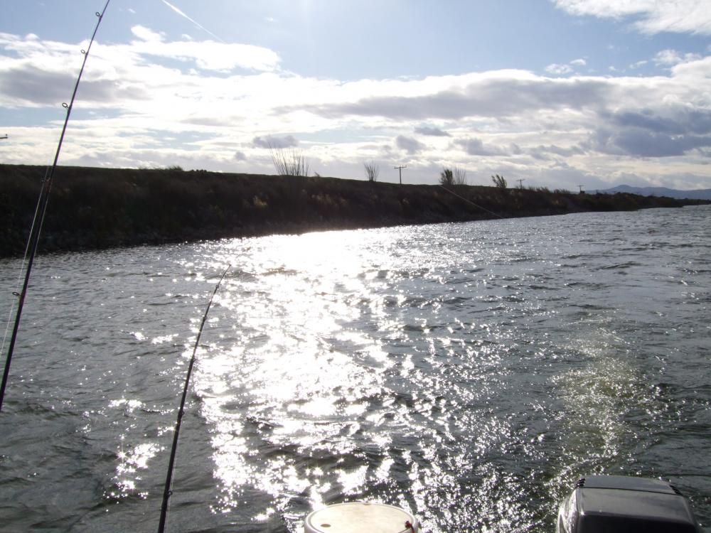 Striper fishing Victoria Canal