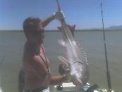 Sturgeon Caught up in Montezuma many moon ago.....