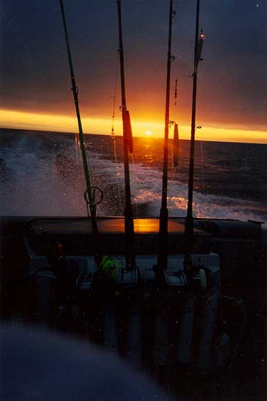 Sunrise on the way for tuna