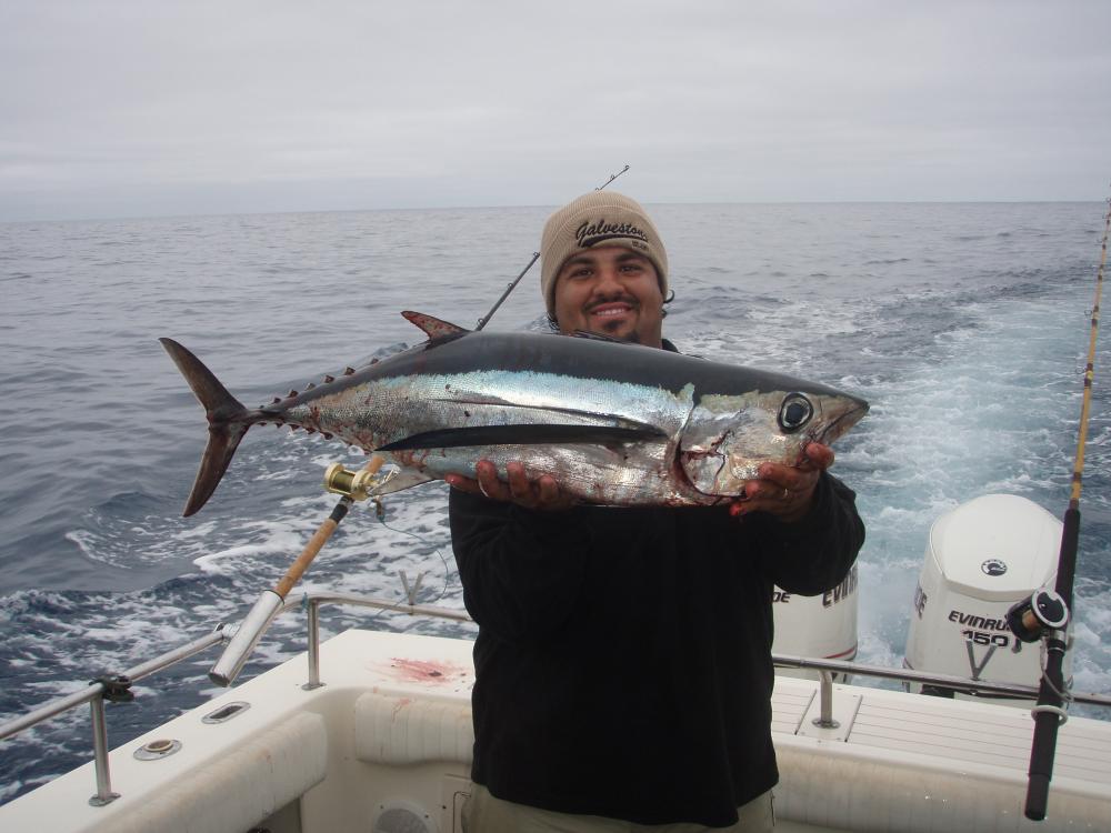 tuna  2009