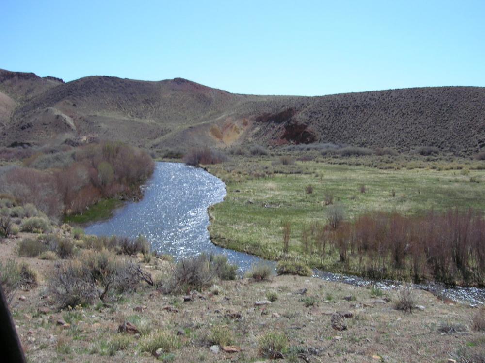 Walker River, Trout opener